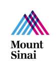 Mount Sinai