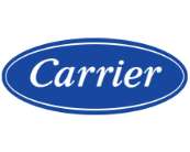 Carrier