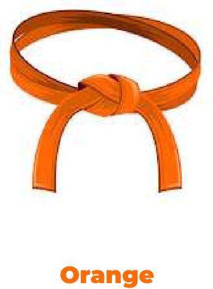 orange belt